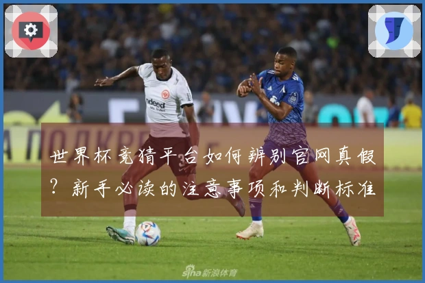 世界杯竞猜平台如何辨别官网真假？新手必读的注意事项和判断标准