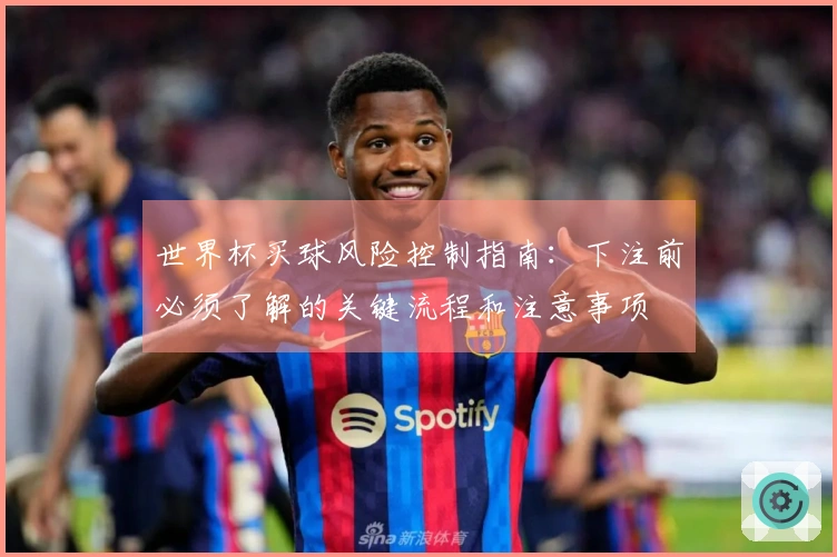 世界杯买球风险控制指南：下注前必须了解的关键流程和注意事项